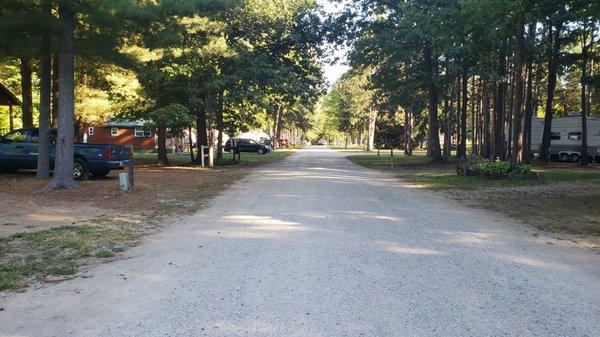 road inside park