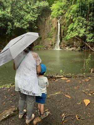 The McBryde Waterfall.