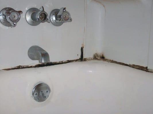 mildew and mold in the tubs