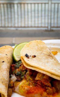 Sitting at the East River Park with Tacos Al Pastor from Los Tacos Poca Madre which is inside Ben's Deli