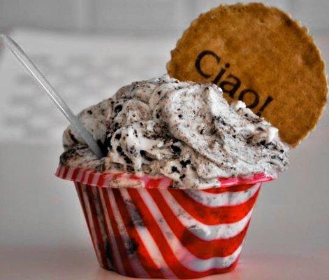 Cookies and Cream Gelato with a wafer cookie!