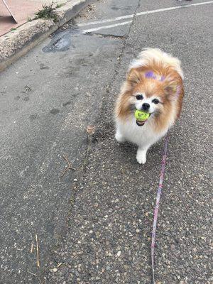 They all loved her purple bows and ball!