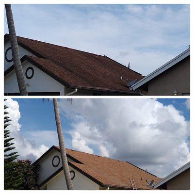 Before and after pics Call RG roof cleaning