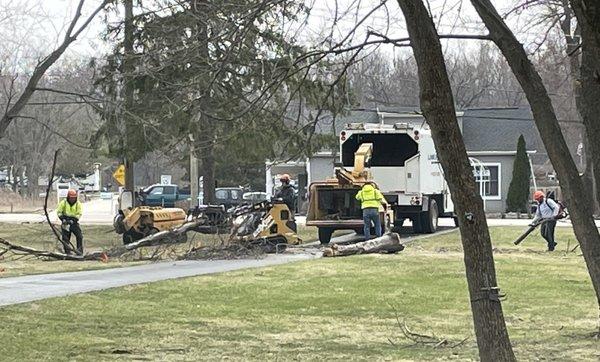 Clearing downed trees