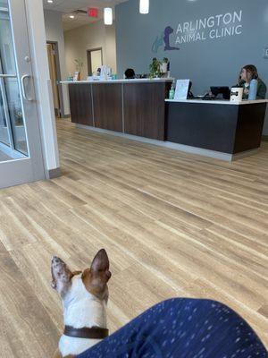 Arlington Animal Clinic