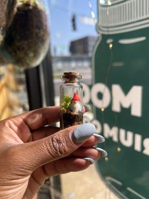 Mini Gnome Terrarium