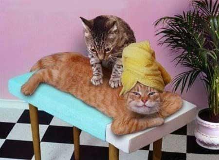 Massage makes life good.