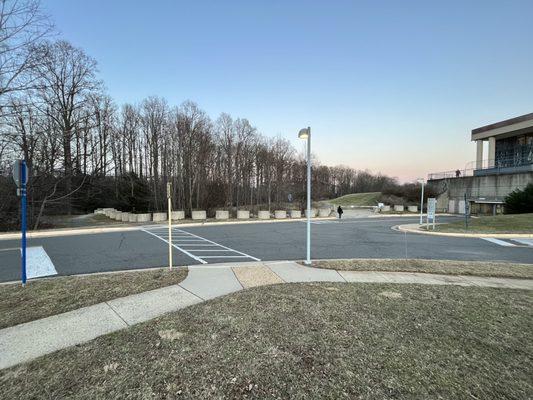 A regular shot of the path that leads to the trail.