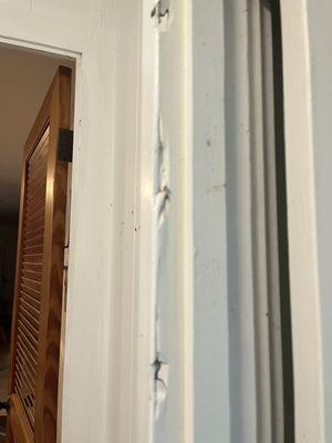 Termite Dan to door frame less than 6 years after fumigation