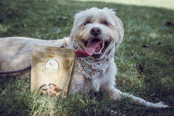 Dog Treats with Hemp Extract (Multiple Strength Options)