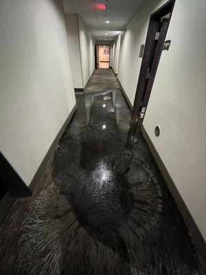 Pipe burst, flooding in hallway