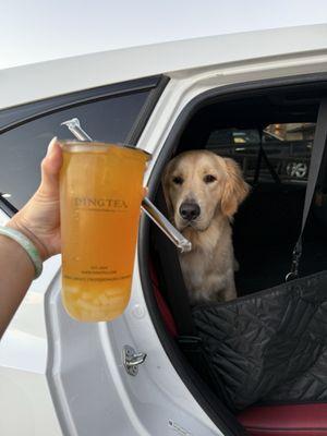 Passion fruit green tea with lychee jelly - Denver approves