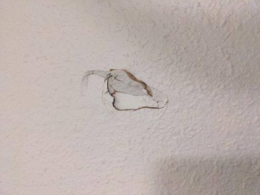 Punched a hole in my wall then denies it.