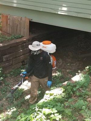 One of our techs treating one of the many unique homes that we treat for mosquitoes.