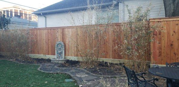 Red cedar pickets with treated pine posts and bottom board.