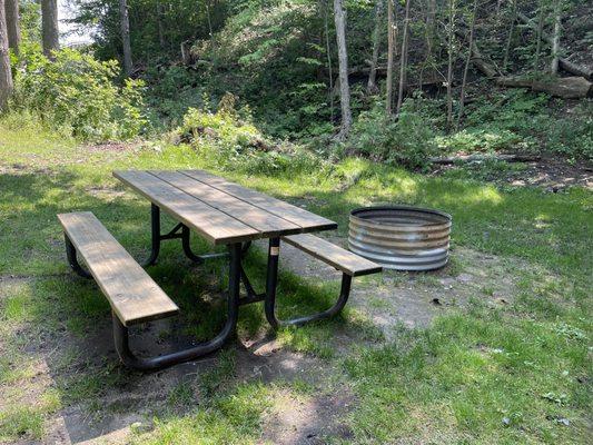 Picnic area and fire pit to the left of the cabin