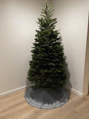 8' noble fir Christmas tree