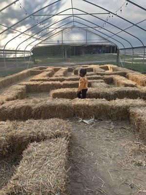 Mini toddler corn maze