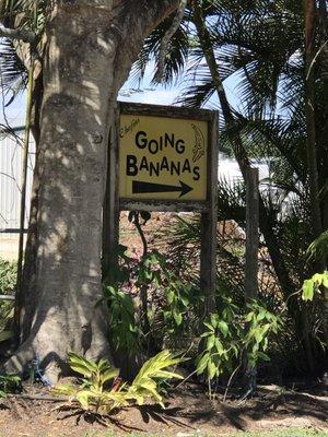 Going Bananas entrance