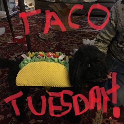 Free or really cheap Tacos every Tuesday!