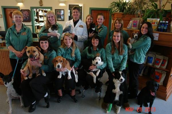 The amazing, compassionate team at All Creatures