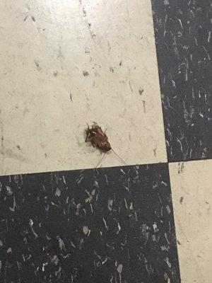 $2000 for a one bedroom with an hour commute to the city and the place is crawling with giant roaches. So disappointing.