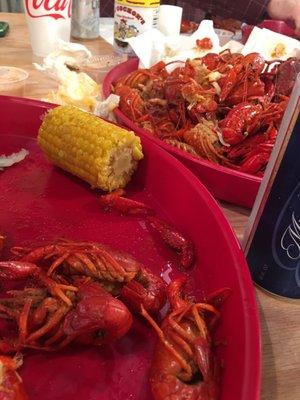 Crawfish n beer!