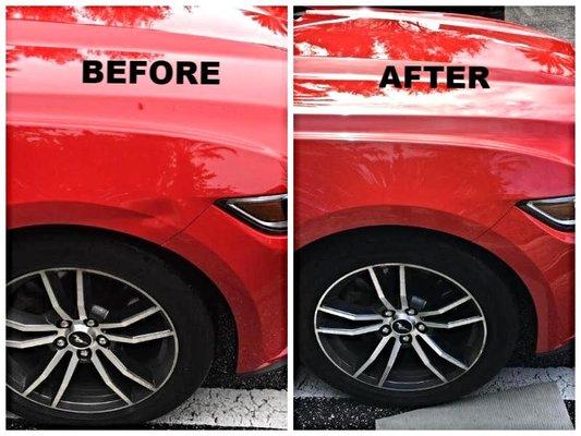 Mustang dent removed in front fender