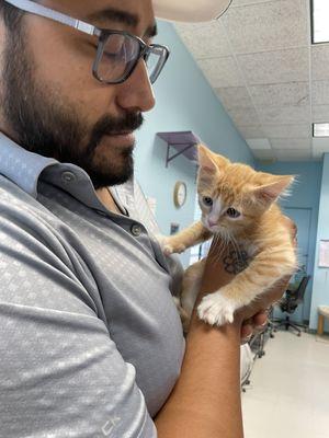 Such a tiny fella! 2m 1wk old - mango!