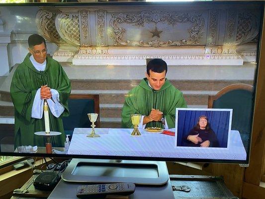 Virtual Mass