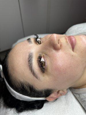 Brow Lamination