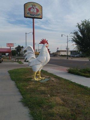 Giant chicken outside, yummy chicken inside.