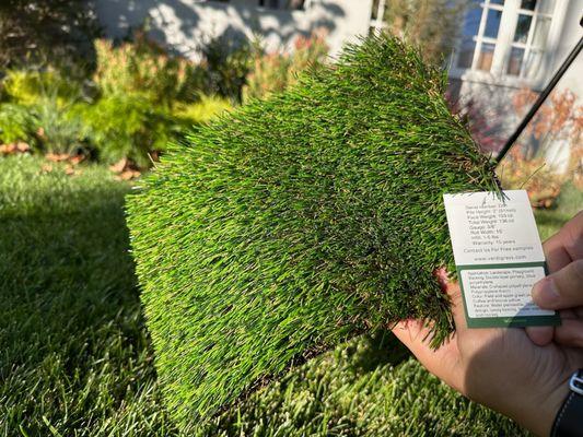 Verdigrass v. Real grass