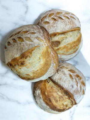 Sourdough Boule