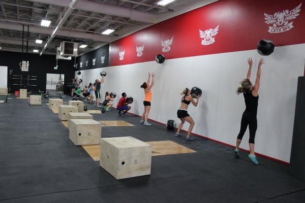 Crossfit Omnia