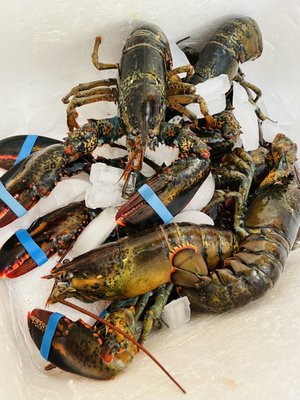 Taylor Lobster Company