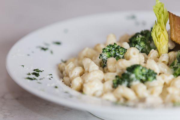 Cavatappi chicken Alfredo