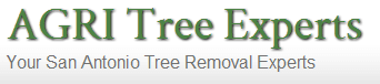 San Antonio Tree Removal