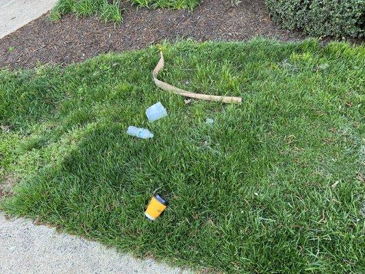 Trash in front of the apartment