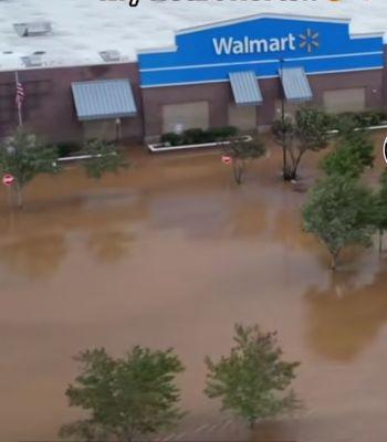 Neo was located in the building adjacent to this Walmart in the same shopping center. So sad, but visit their other locations!