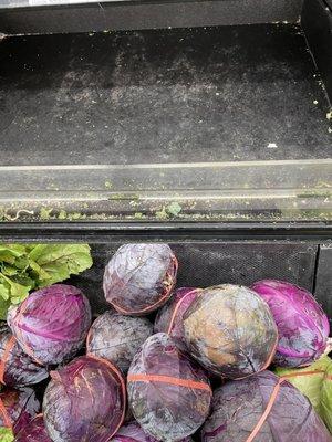 The vegetable bins are filthy.