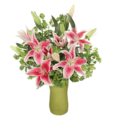 Take stargazing to a new level with these dazzling pink 'Stargazer' lilies in a glass vase. Take their breath away with Fair as a lily!