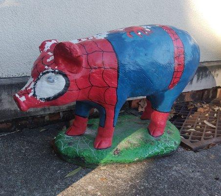 Spider Pig! These cement pigs are painted and outside most businesses in Kingstree.