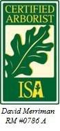 David Merriman - ISA certified arborists