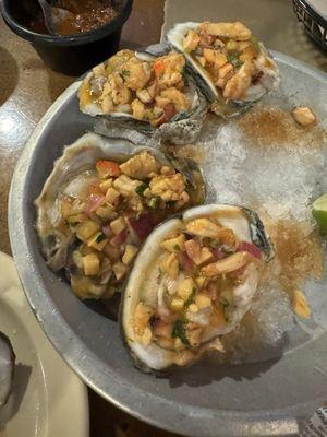 Oysters especial