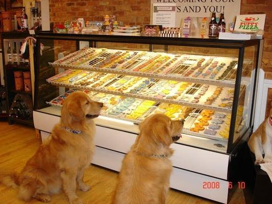 Specialty Gourmet Dog Treats