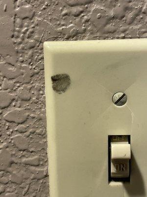 Fingerprint, damage light switch