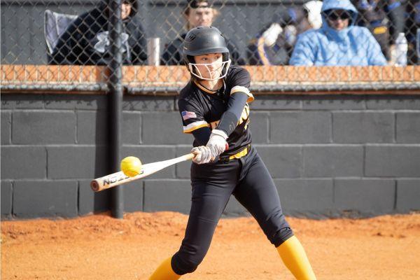 Chesnee High School Softball