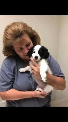 Angie our Registered Veterinary Technician getting puppy love