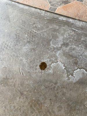 Oil on my garage floor after getting the oil changed at oil changers.